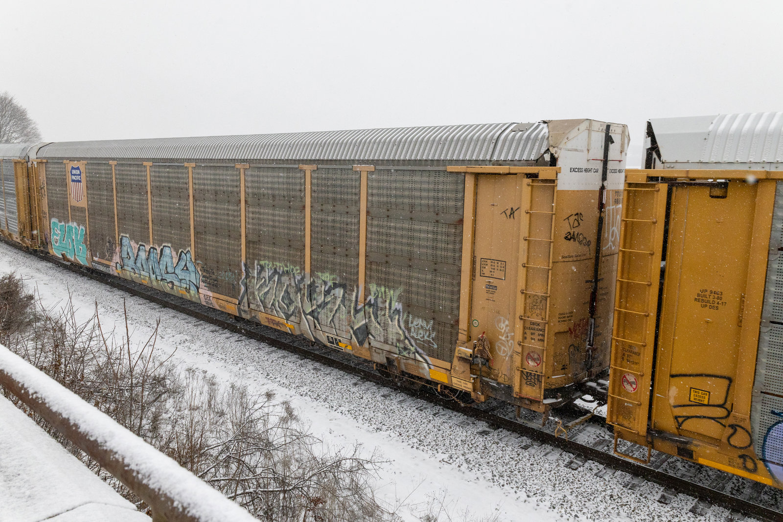TTGX 988507