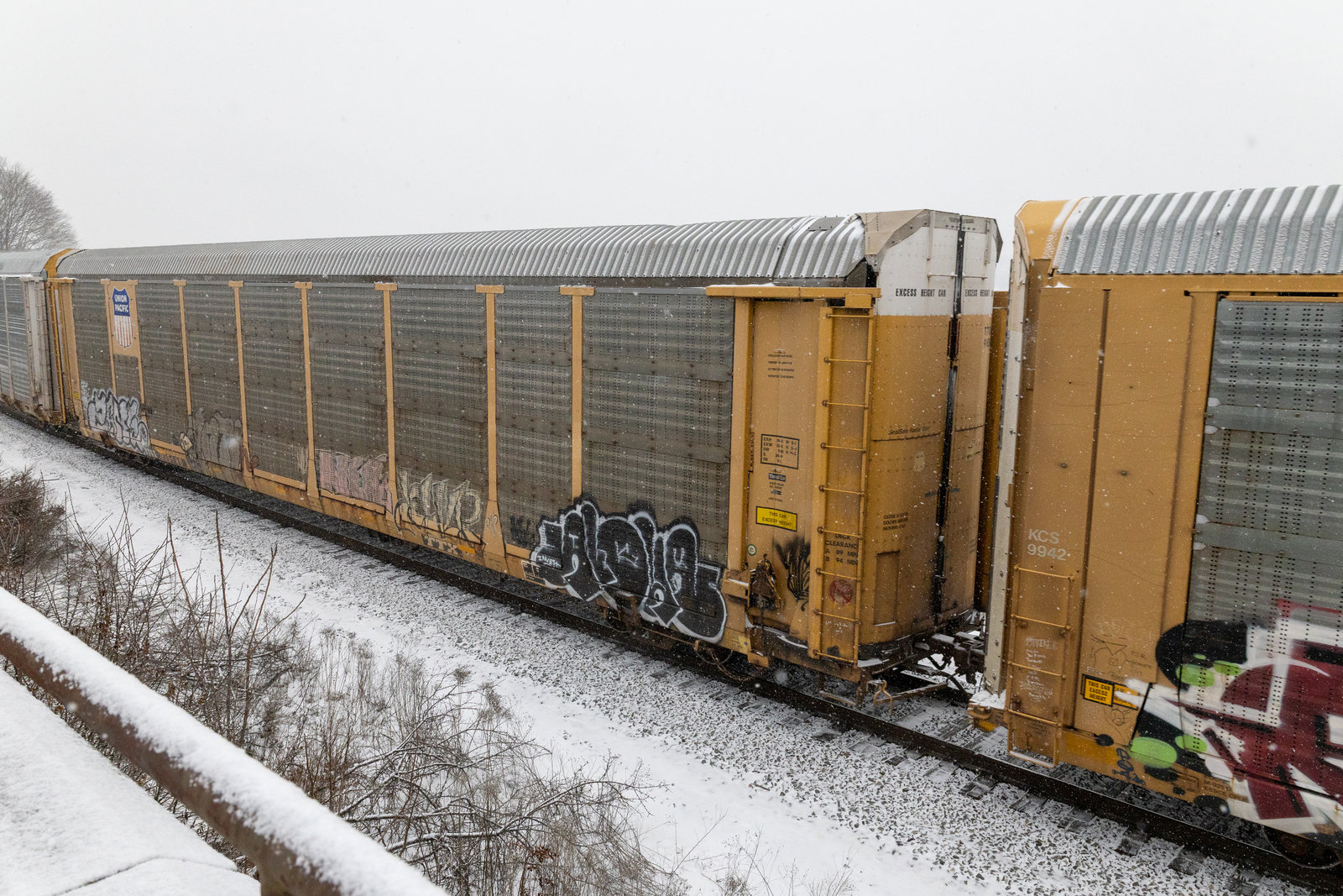 TTGX 985196