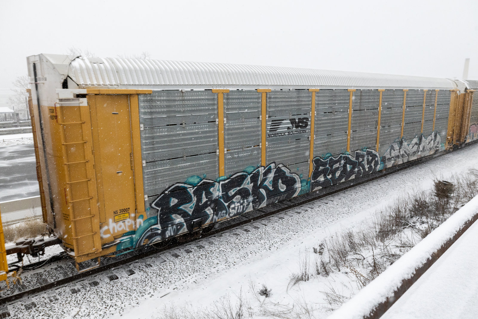 TTGX 985797