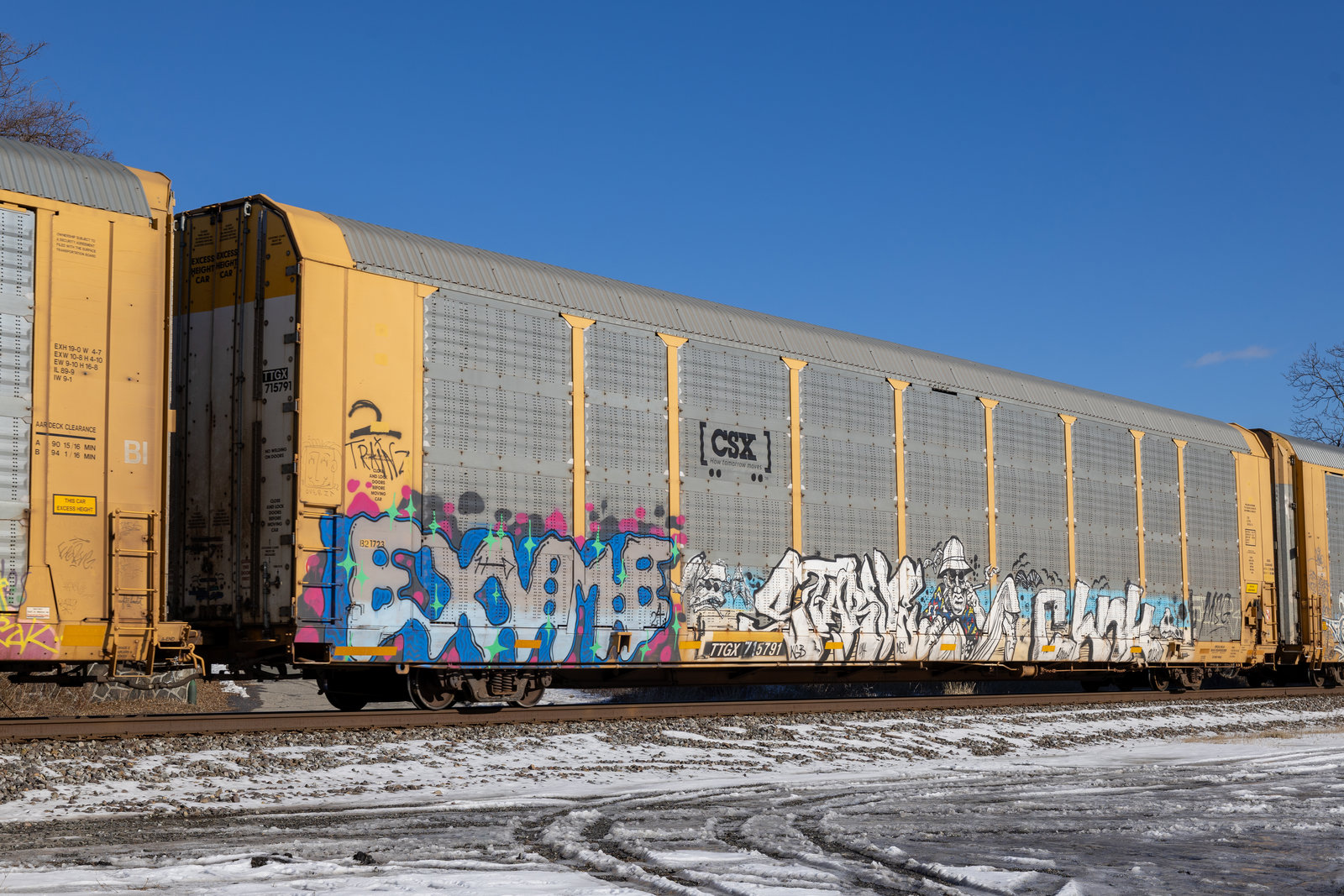 TTGX 715791