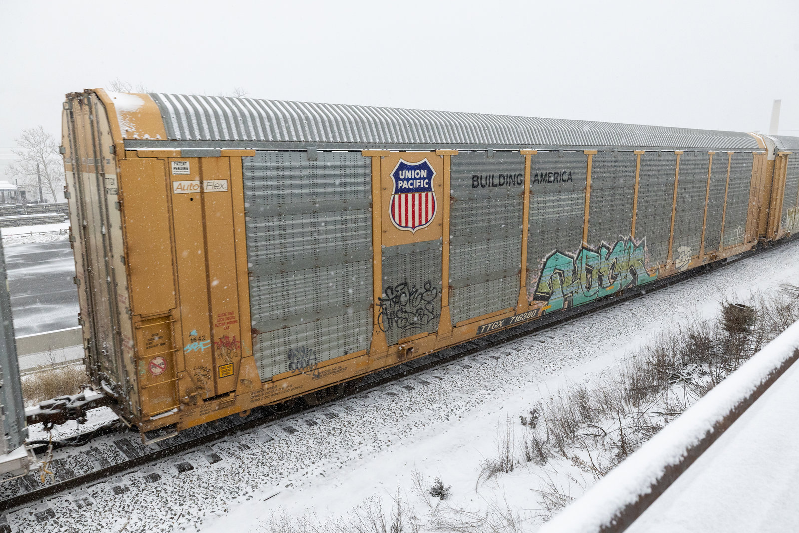 TTGX 716380