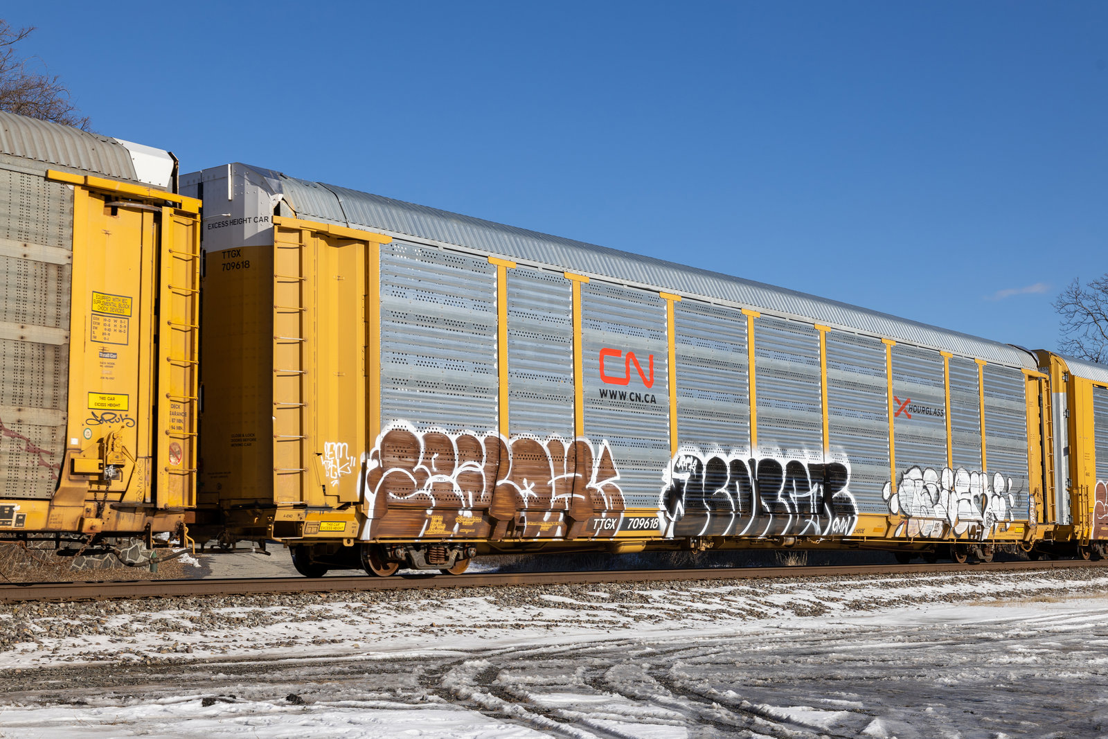 TTGX 709618