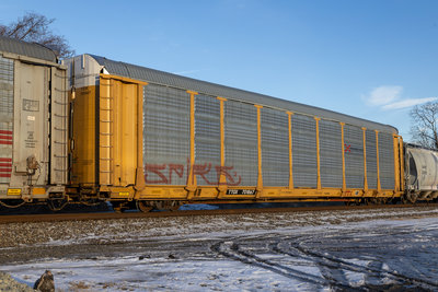 TTGX 701867