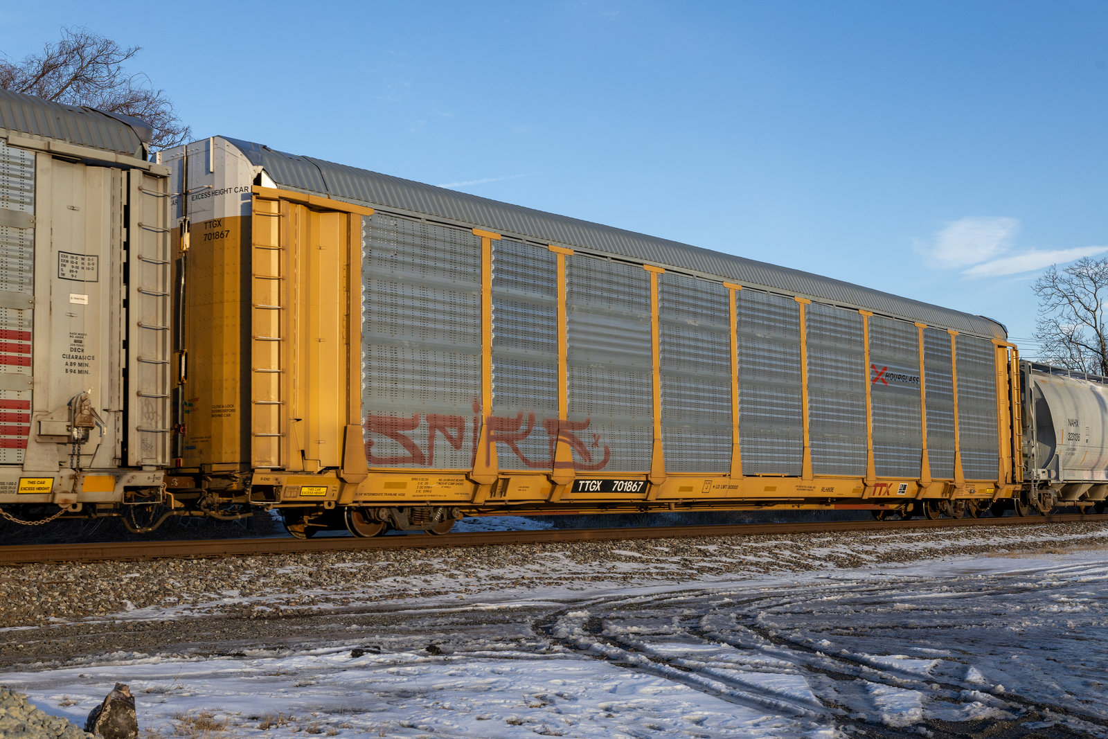 TTGX 701867