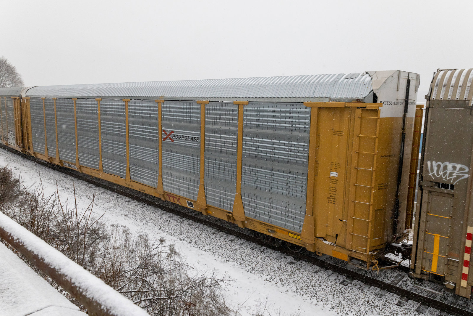 TTGX 701786