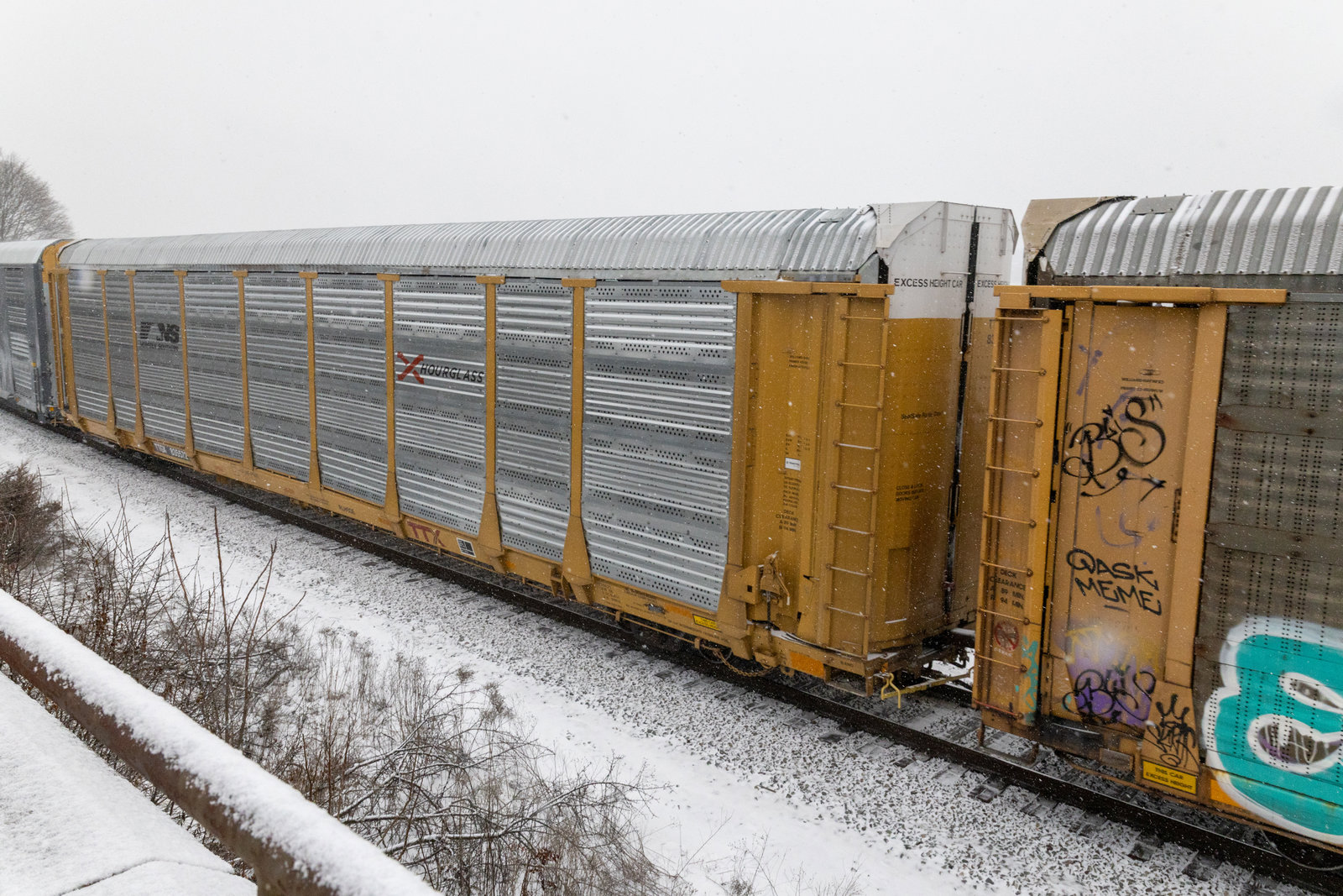 TTGX 835572