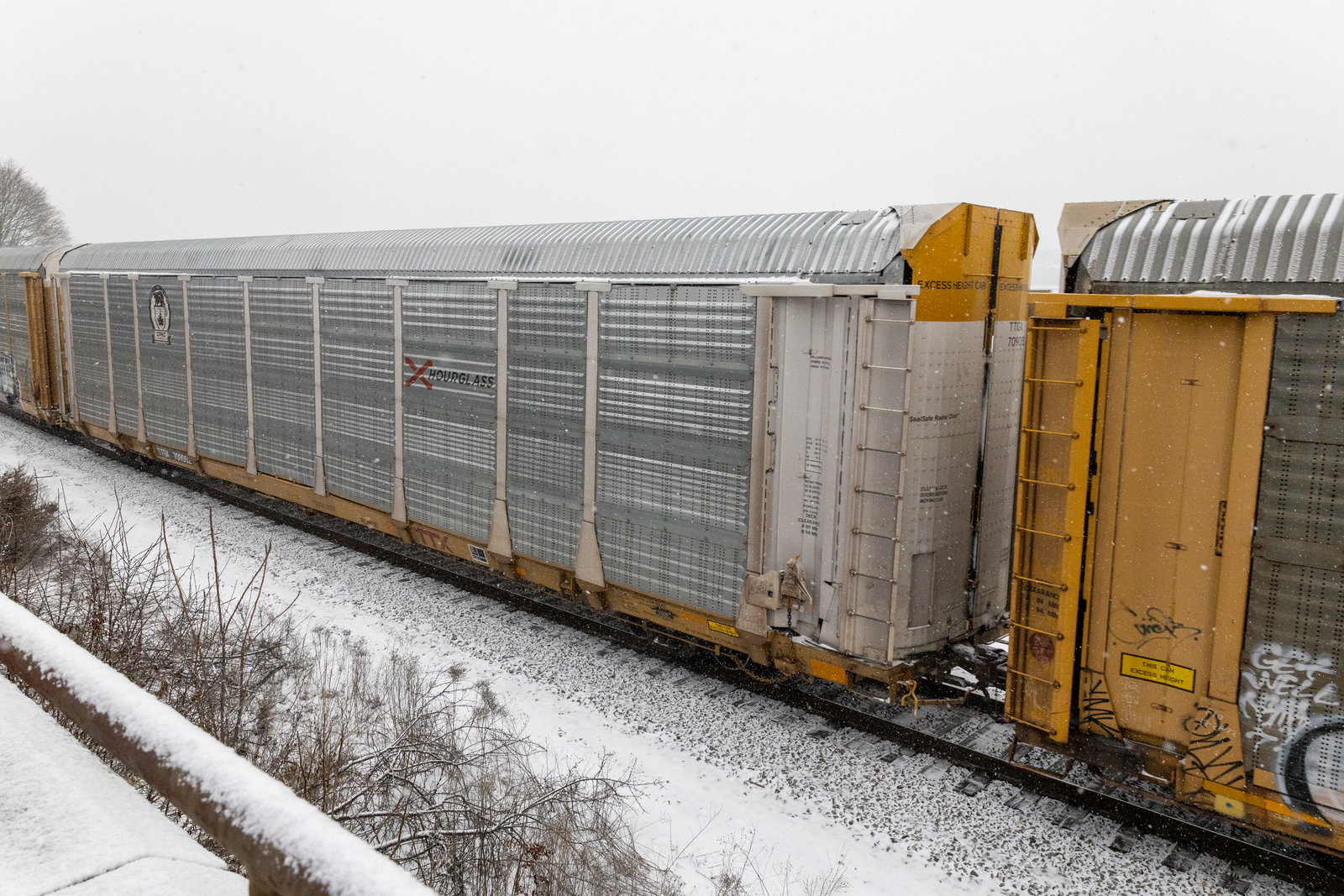 TTGX 709052