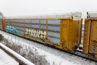TTGX 853534