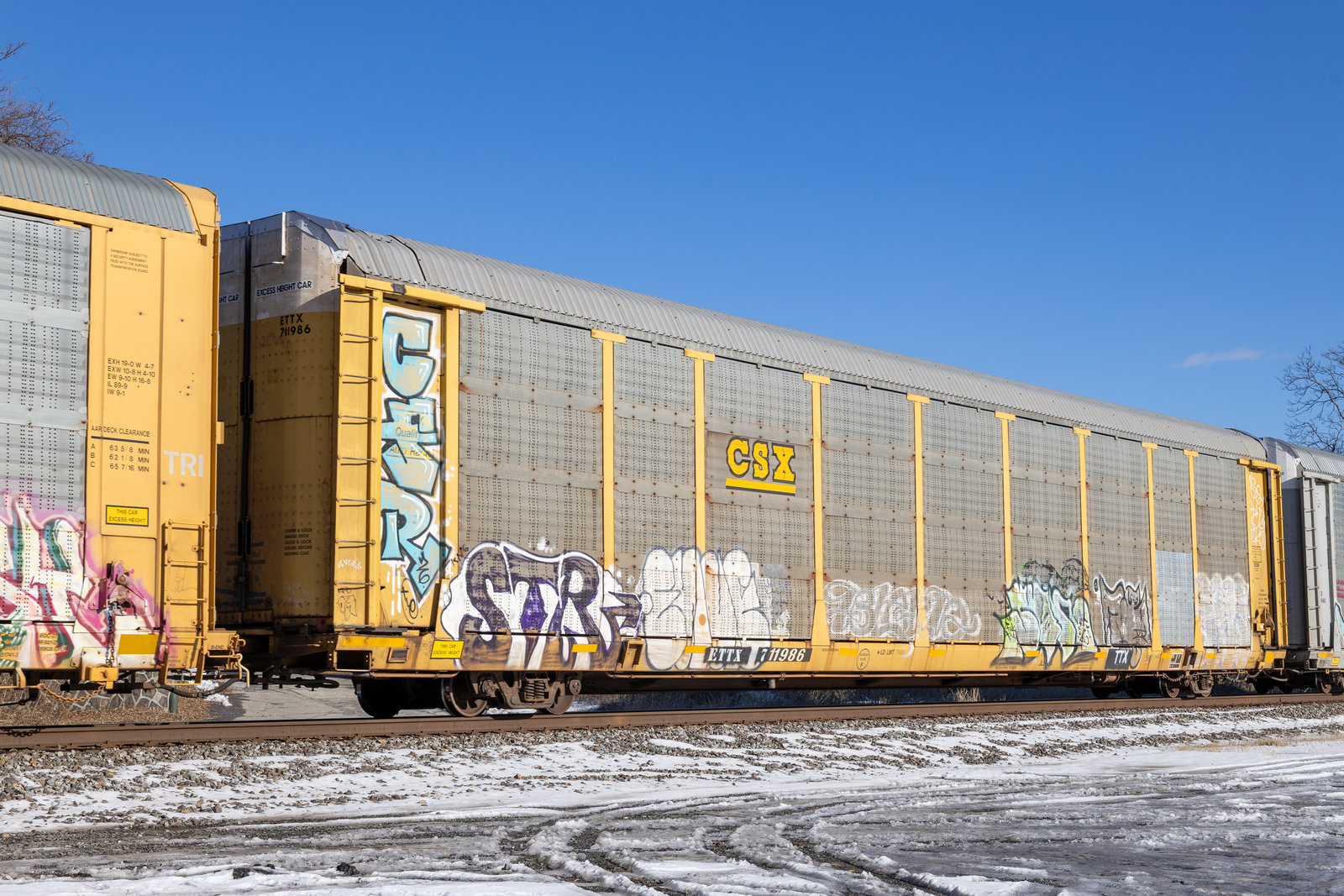 ETTX 711986