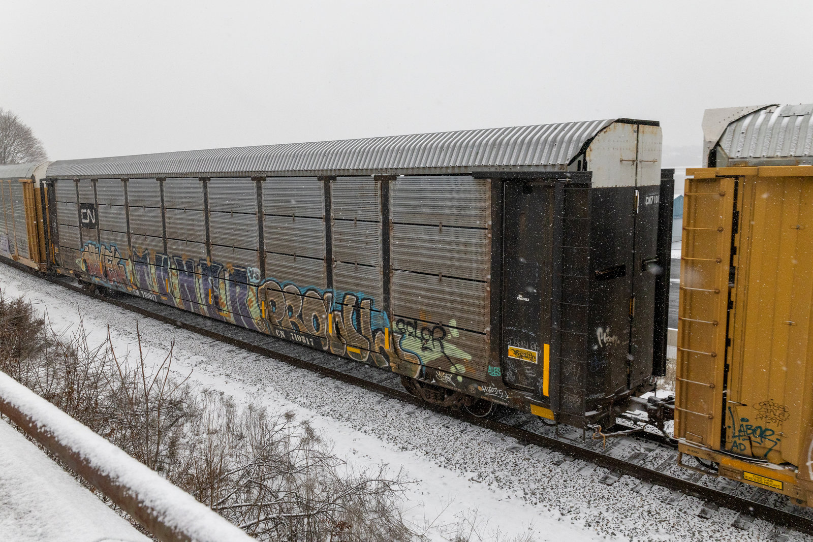 CN 710817