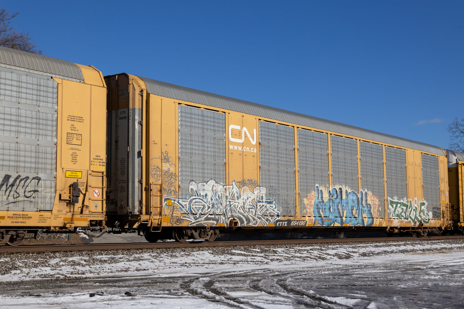 CTTX 694190