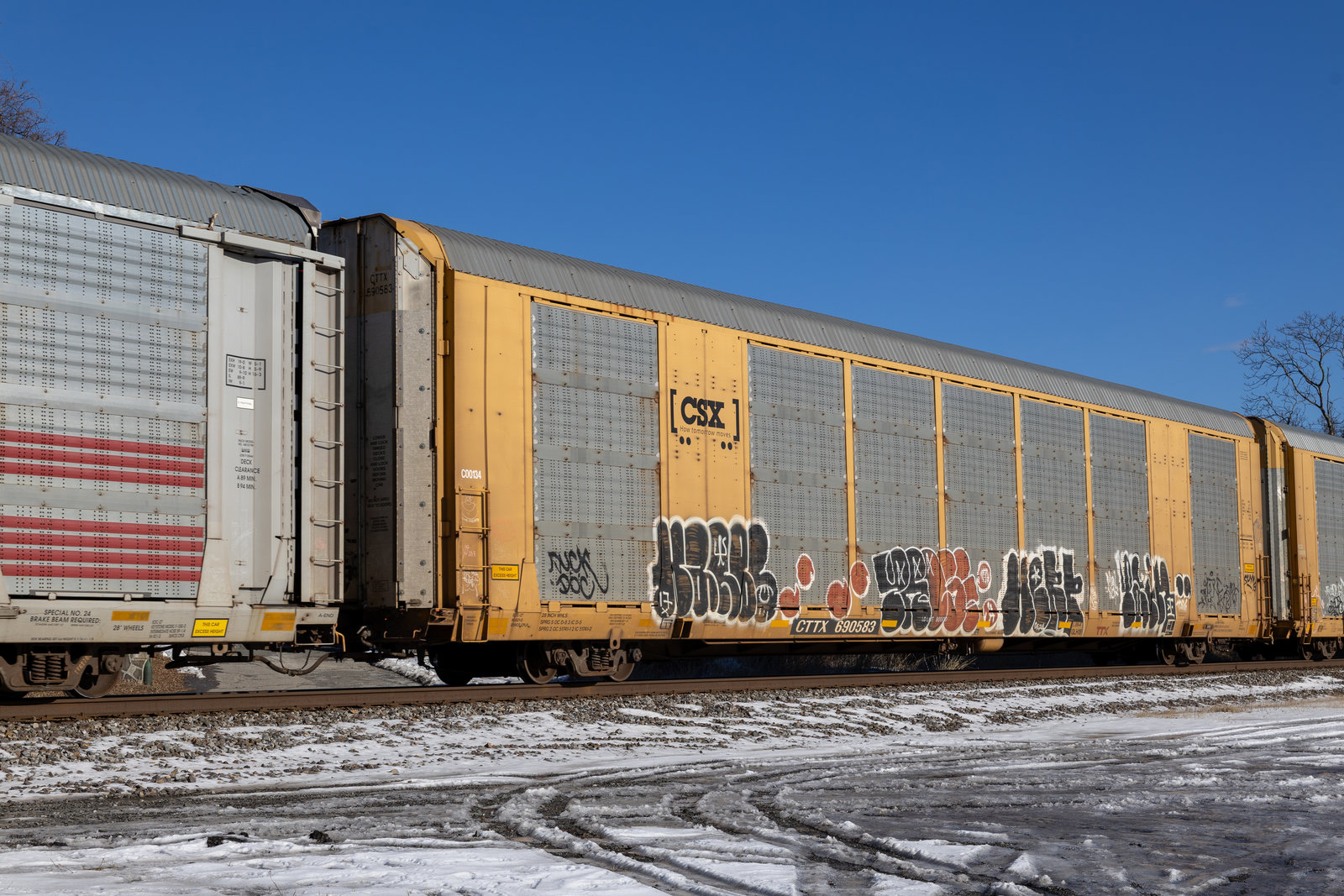 CTTX 690583