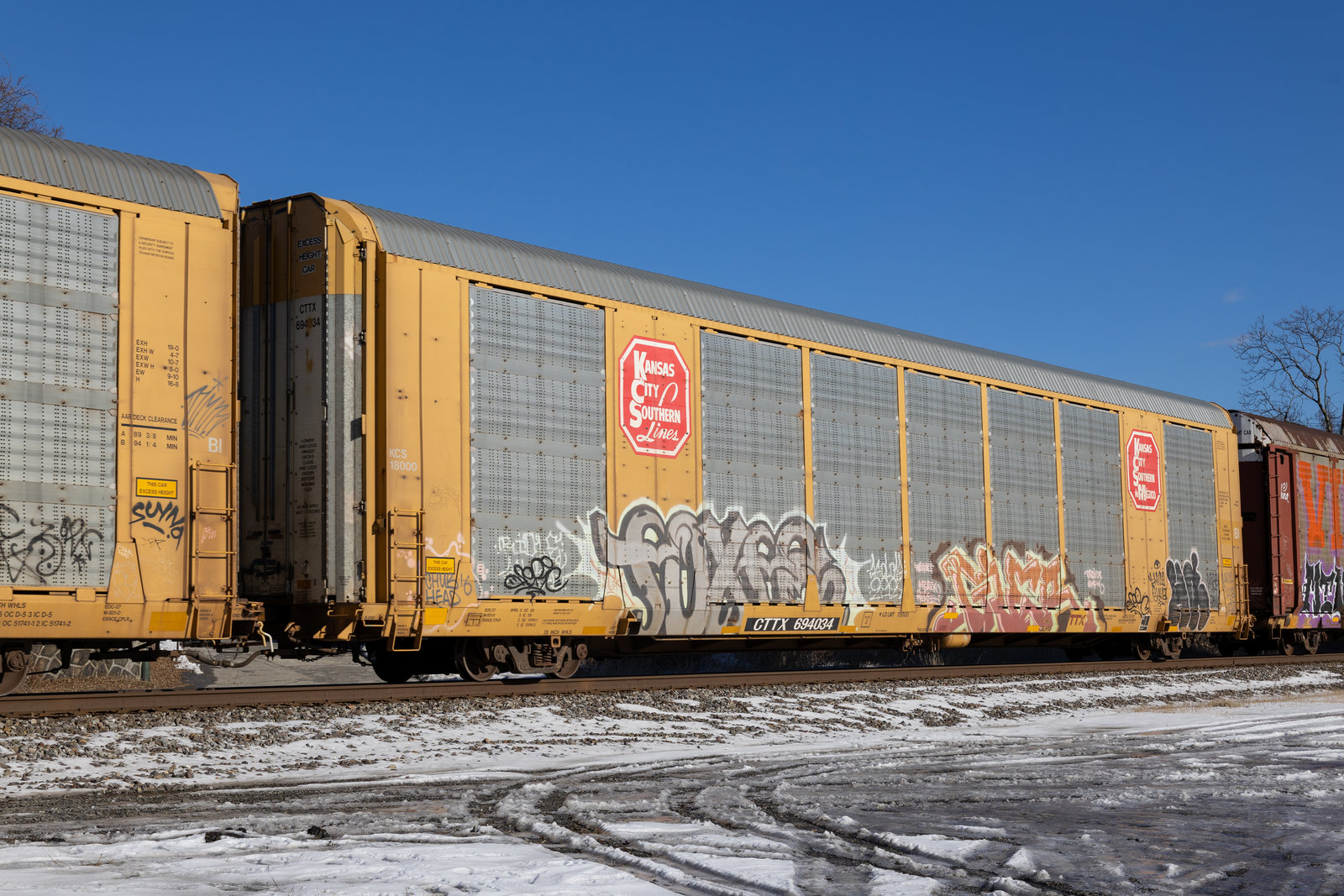 CTTX 694034