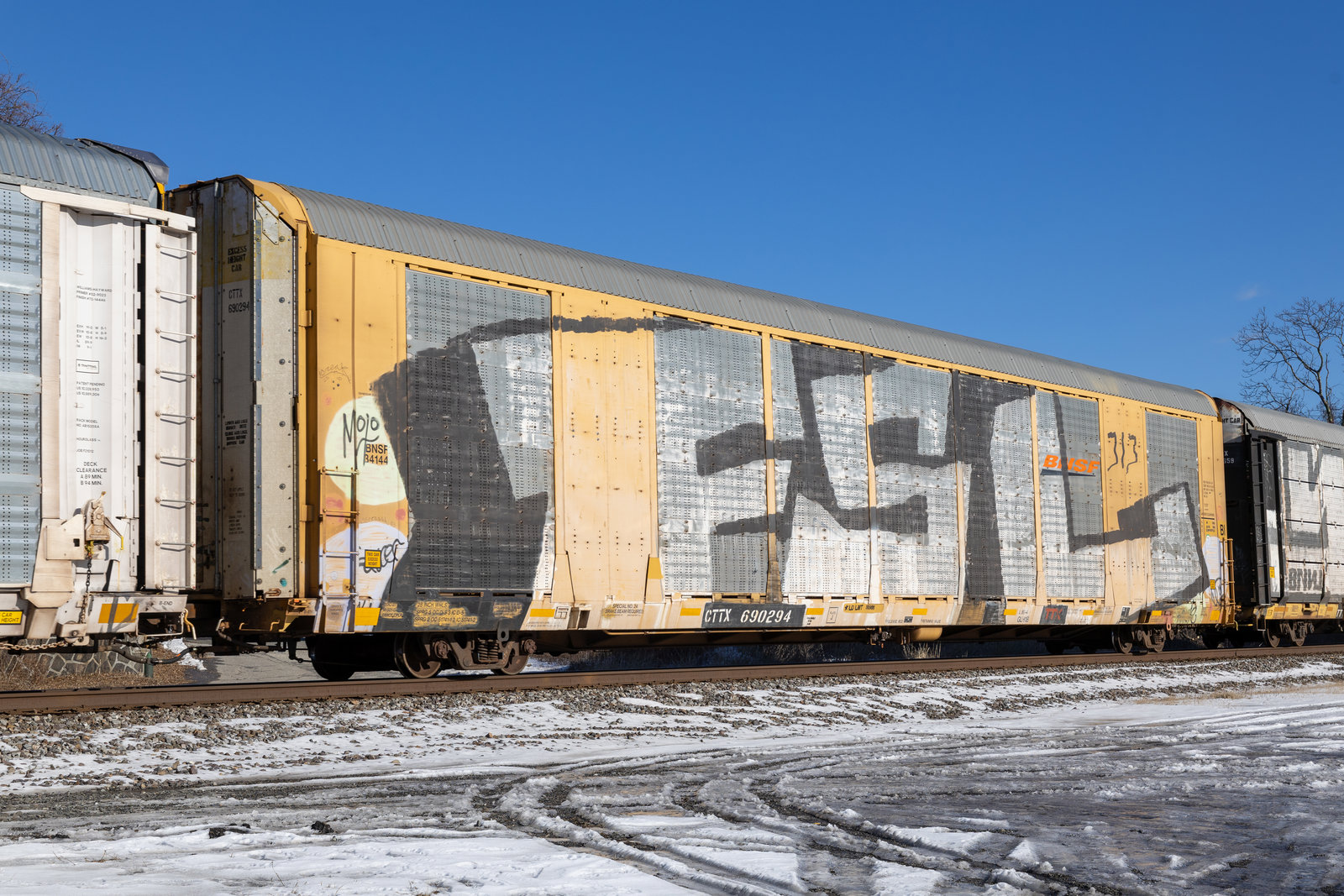CTTX 690294