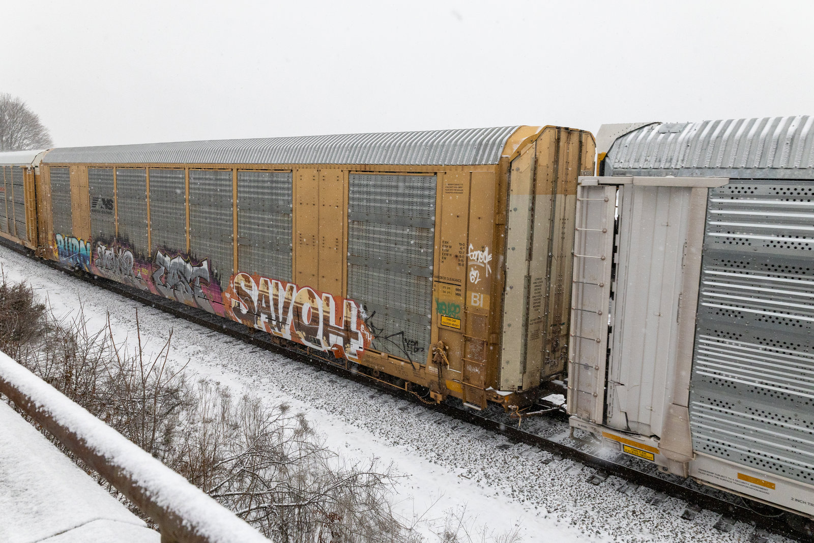 CTTX 691683