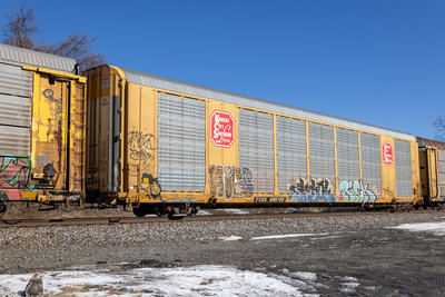 TTGX 695705