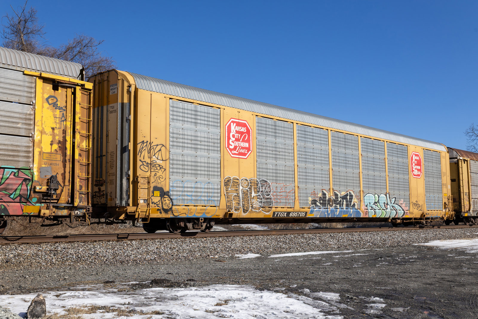 TTGX 695705