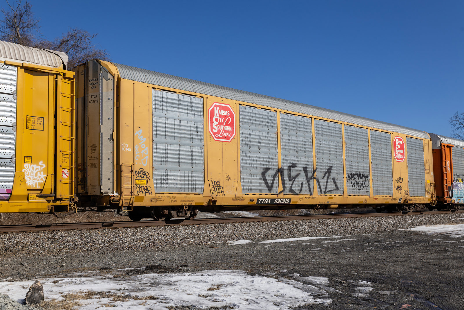 TTGX 692919