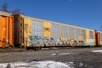 TTGX 695477