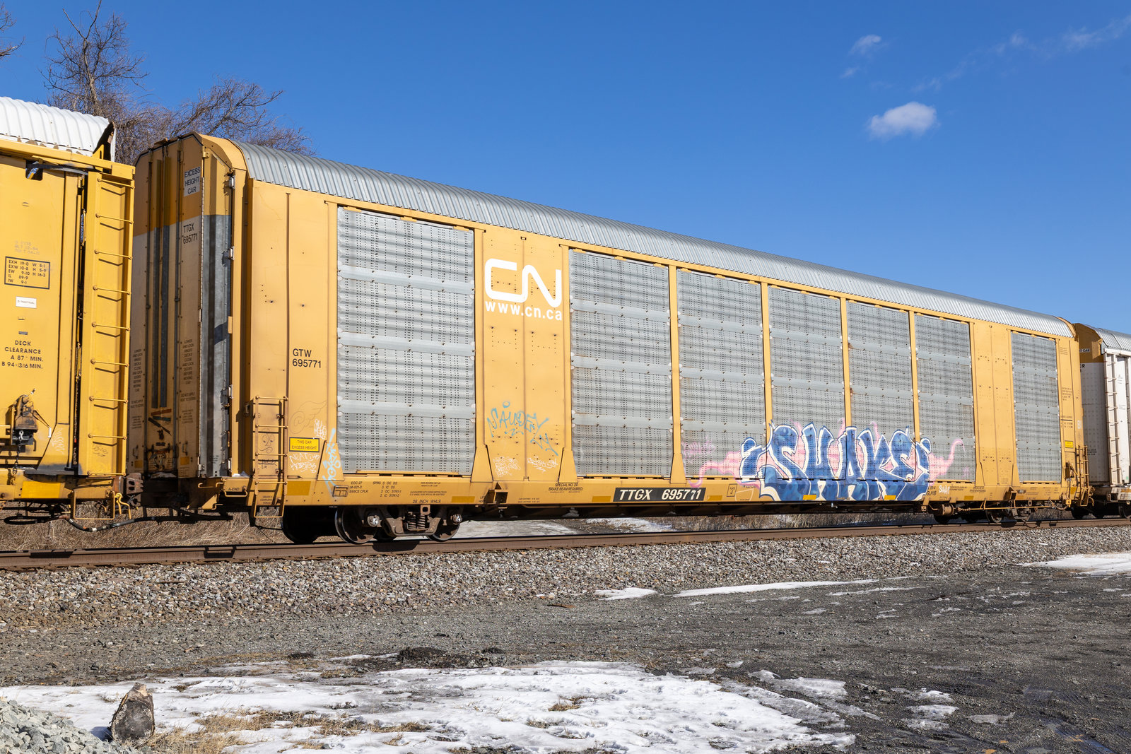 TTGX 695771