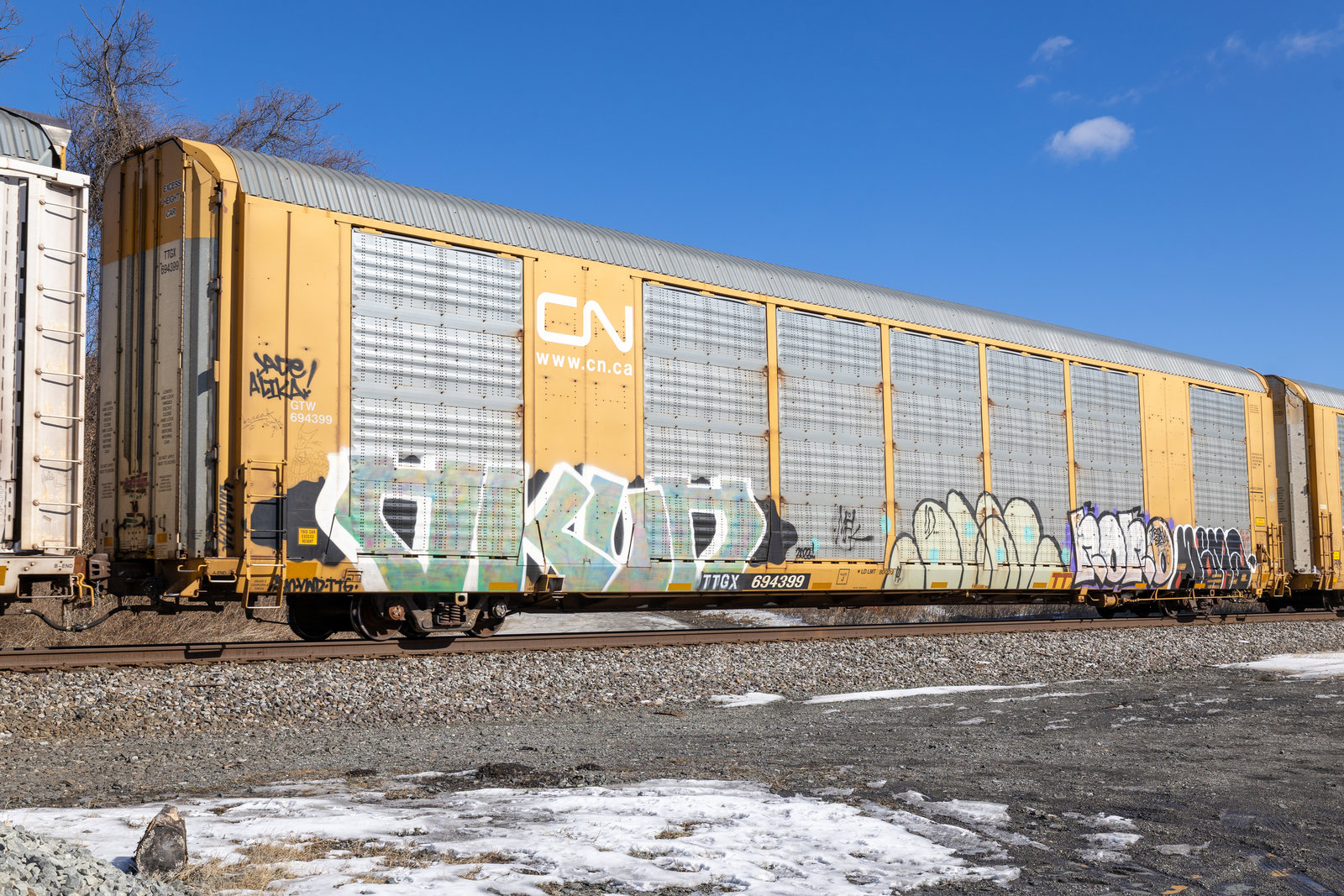 TTGX 694399