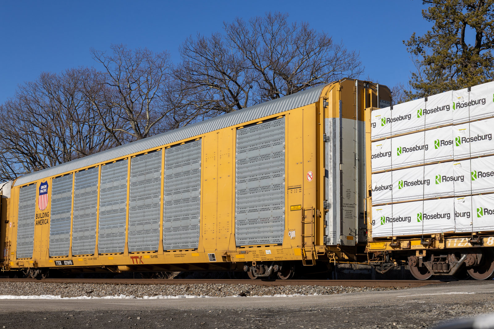 TTGX 821695