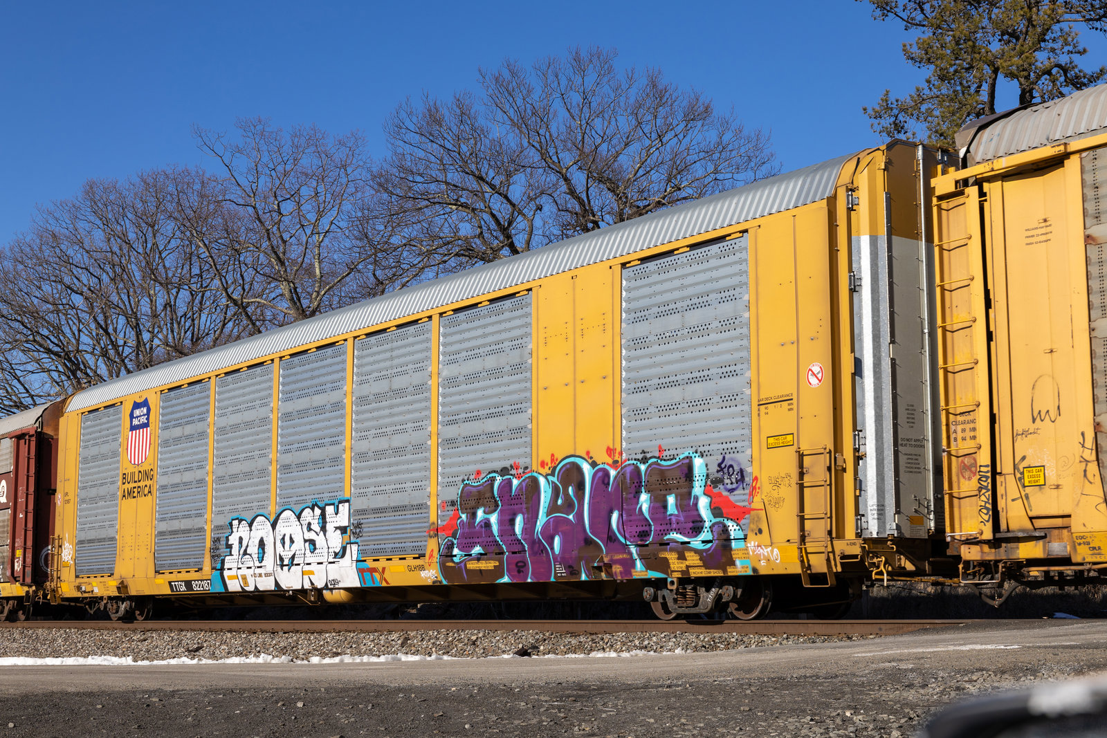 TTGX 822187