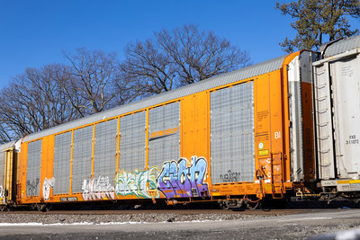 TTGX 693379