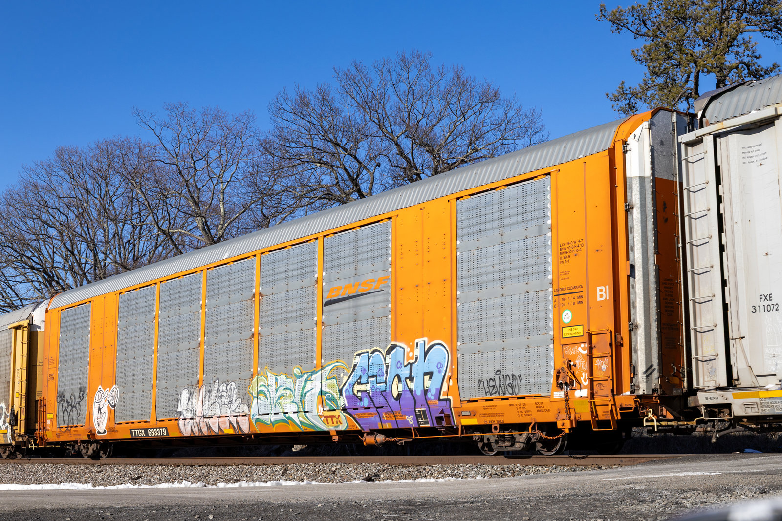 TTGX 693379