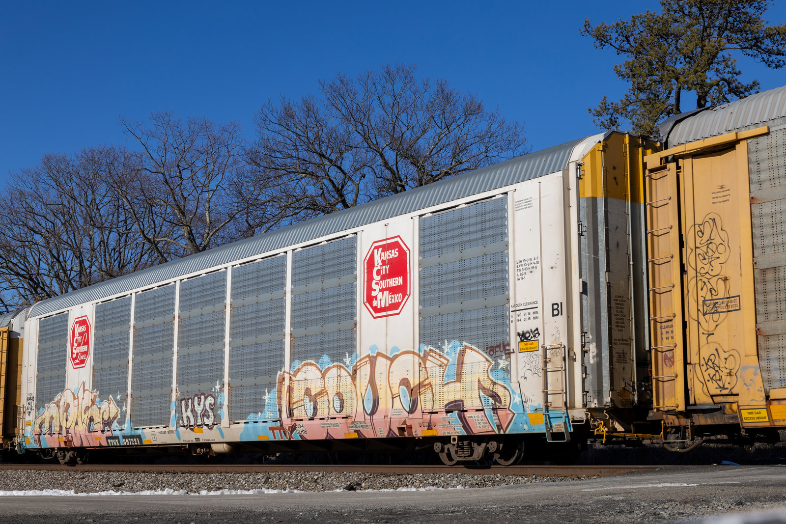 TTGX 697221