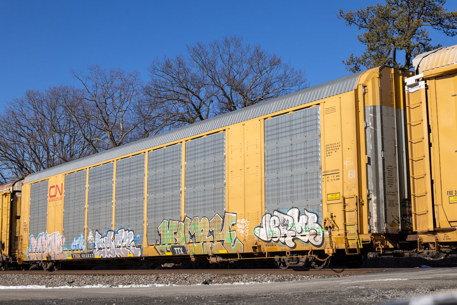 TTGX 695832