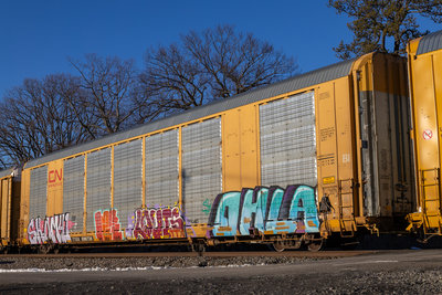 TTGX 696738