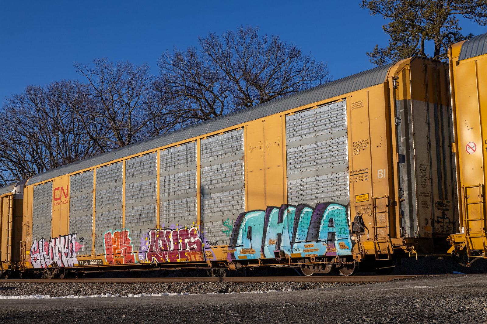 TTGX 696738