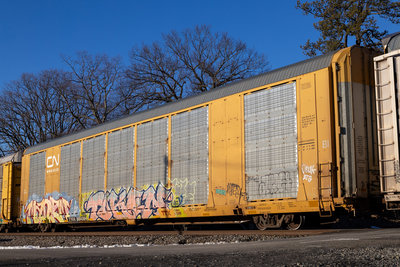 TTGX 694384