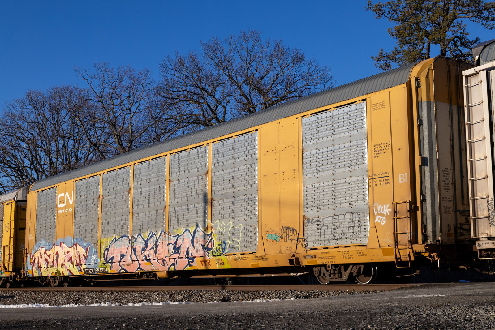 TTGX 694384