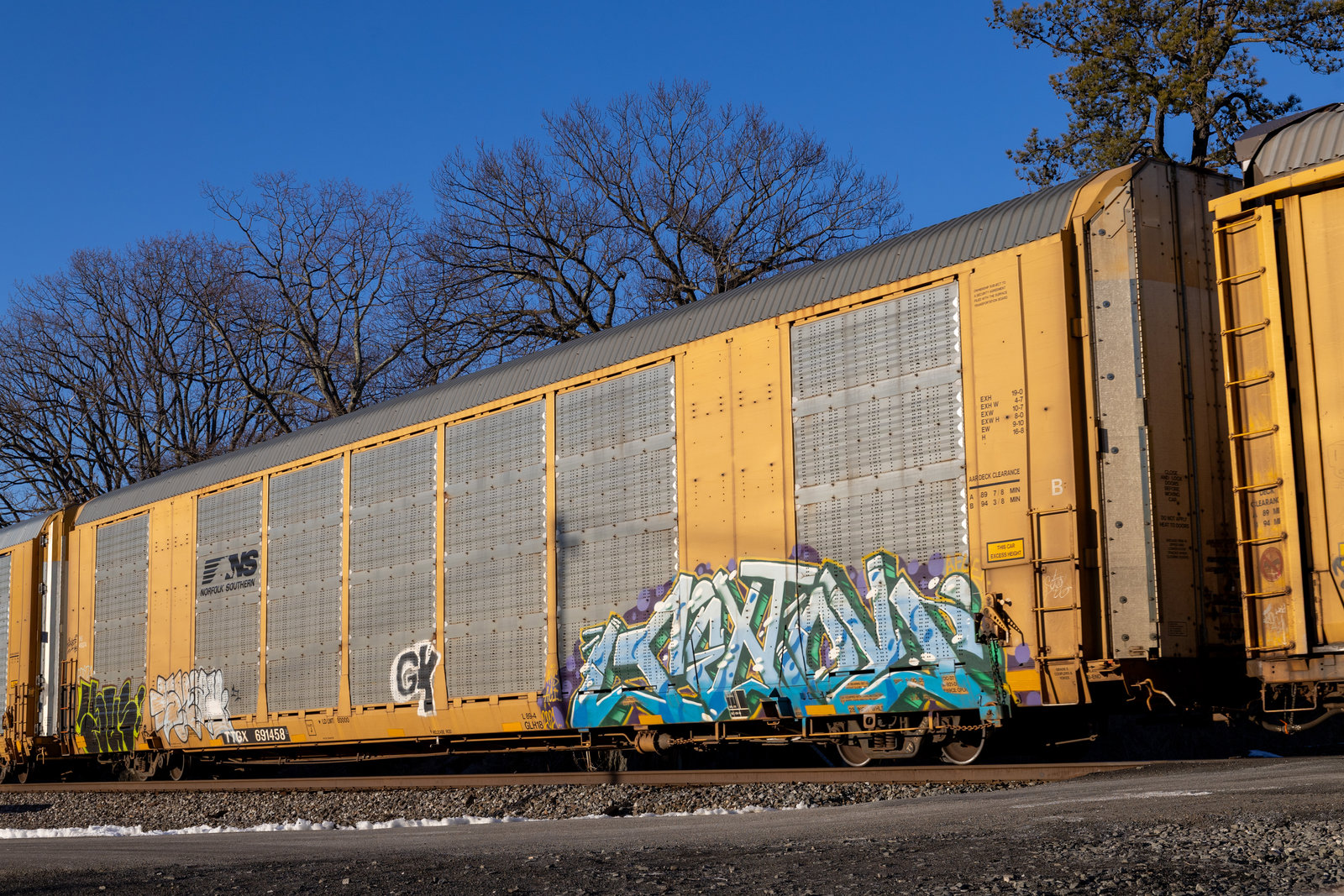 TTGX 691458