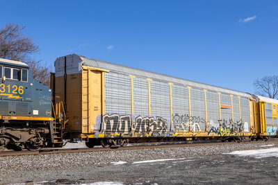 TTGX 965068