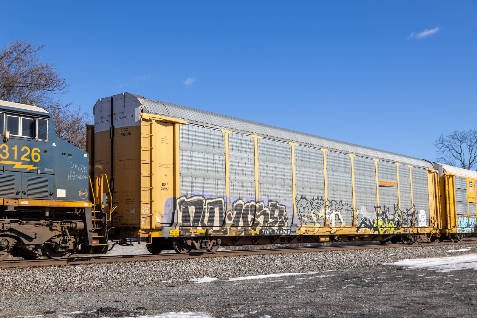 TTGX 965068