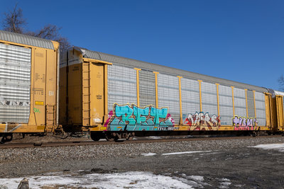 TTGX 982535