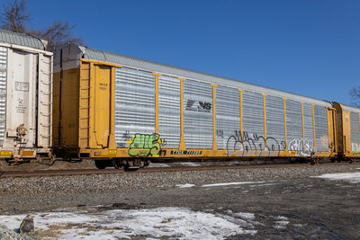 TTGX 711395