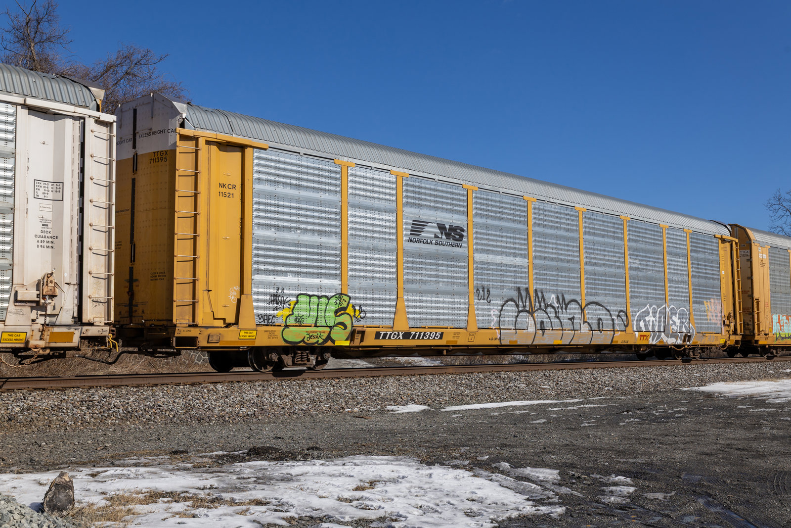 TTGX 711395