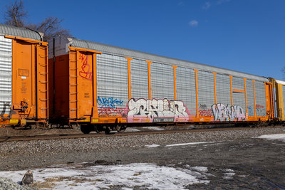 TTGX 953365