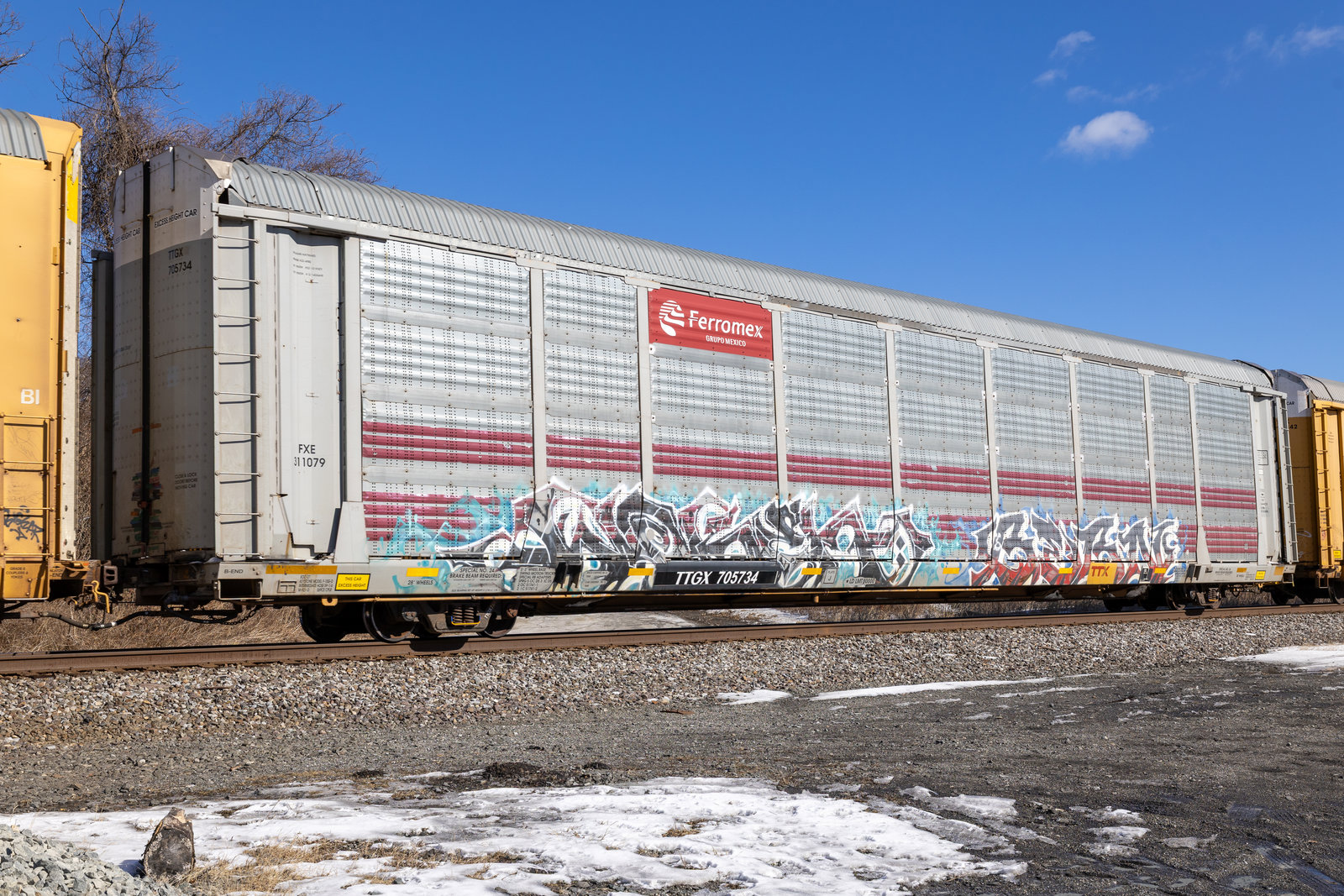 TTGX 705734