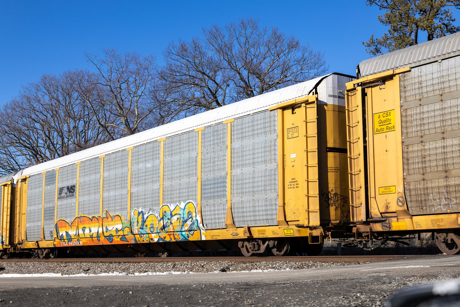 TTGX 993309