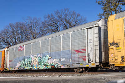 TTGX 705793