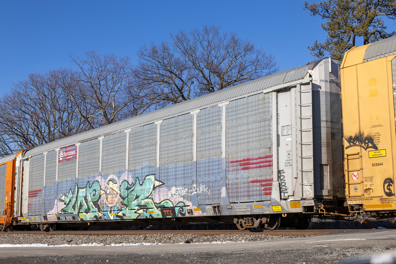 TTGX 705793