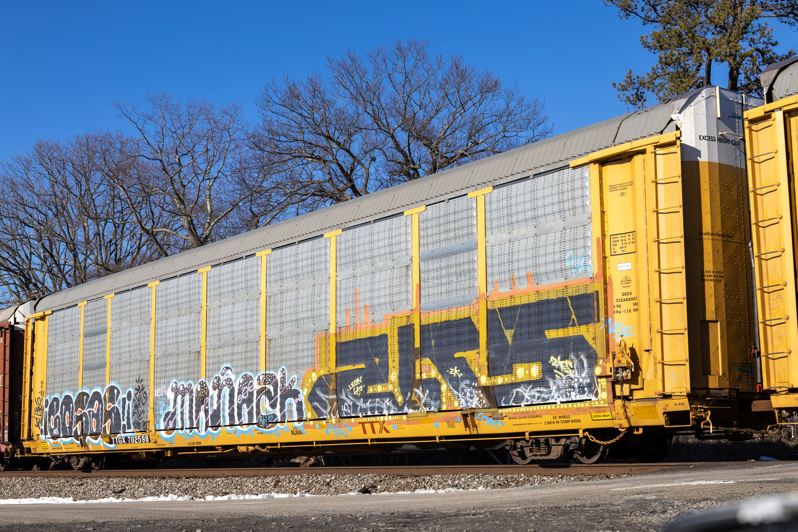 TTGX 702598