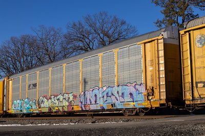 TTGX 707022