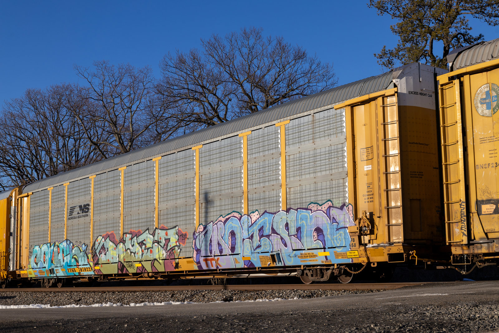 TTGX 707022