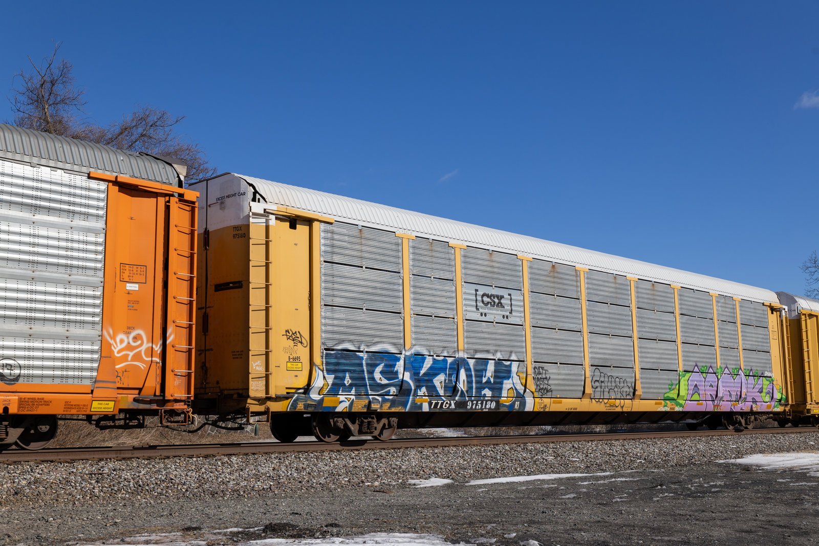 TTGX 975180